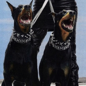 美女国模裸体大尺度GOGo视频
